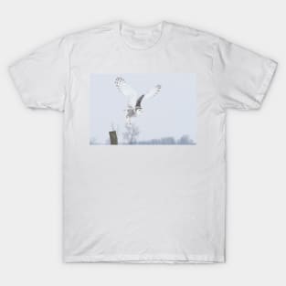 Snowy Owl in flight T-Shirt